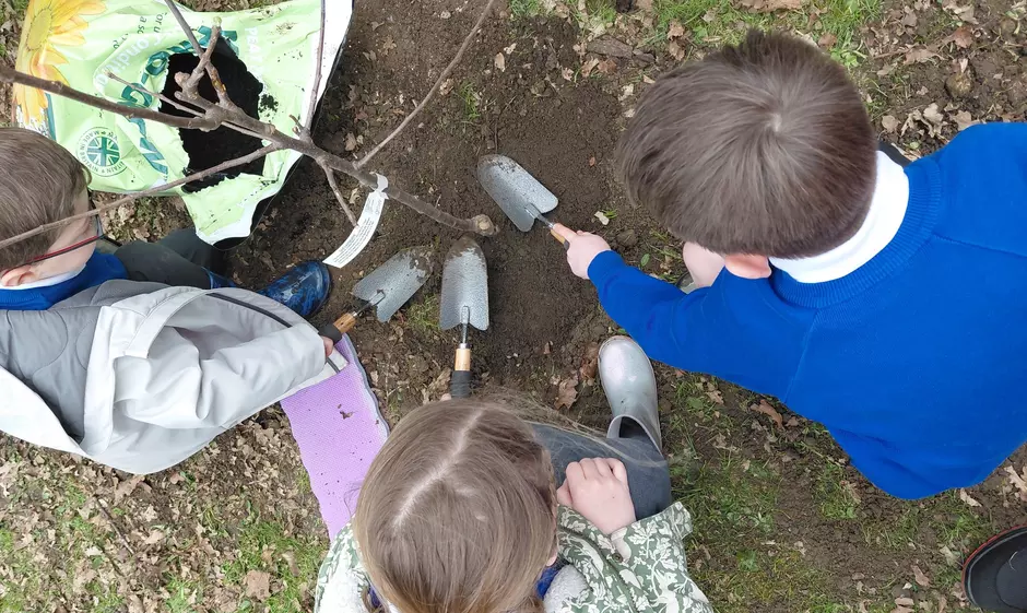 Children planting